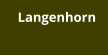 Langenhorn