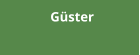 Gster