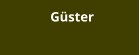 Gster