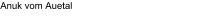 Anuk vom Auetal