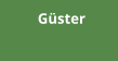 Güster