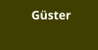 Güster