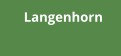 Langenhorn