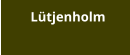 Lütjenholm