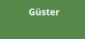 Güster